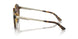 821313 - Tortoise - Gradient Brown
