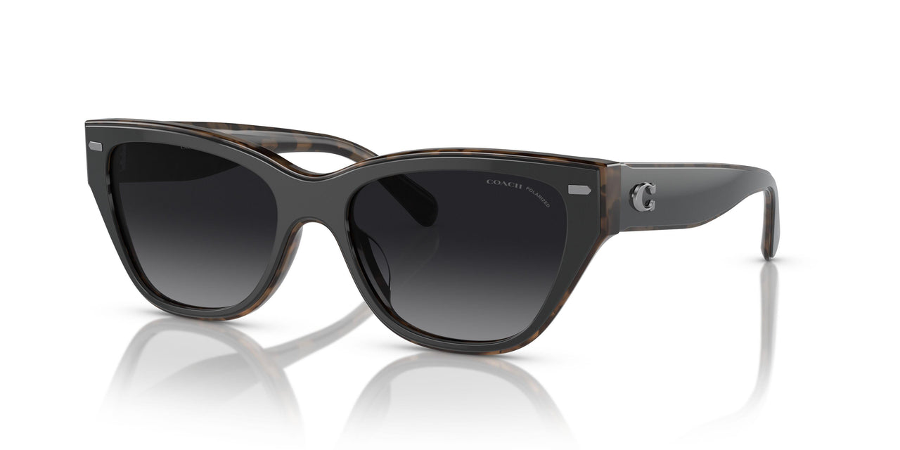 5764T3 - Black - Grey Gradient Polar