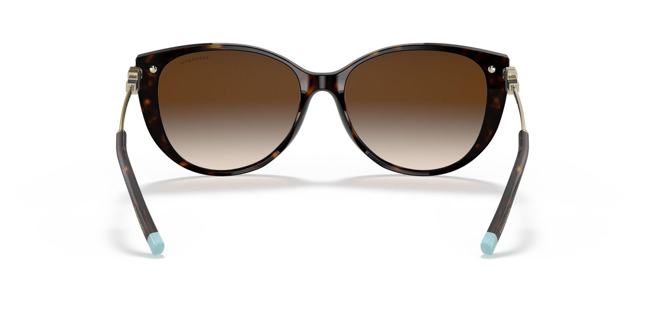 80153B - Havana - Brown Gradient
