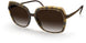 6230 - Havanna Mahogany - SLM RED BROWN GRADIENT