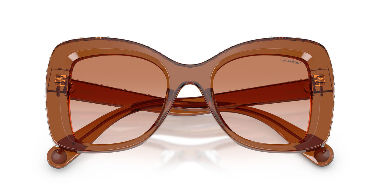 109573 - Brown - Gradient Brown