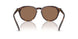 613773 - Tortoise - Dark Brown