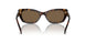 100273 - Tortoise - Dark Brown
