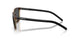 295681 - Tortoise - Dark Grey Polarized