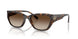 300613 - Tortoise - Smoke Gradient
