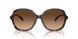 512074 - Tortoise - Brown Gradient