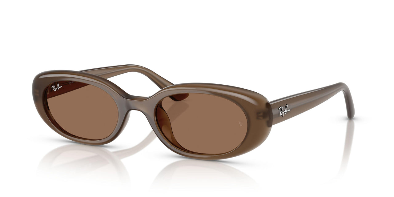 677973 - Brown - Dark Brown