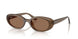 677973 - Brown - Dark Brown