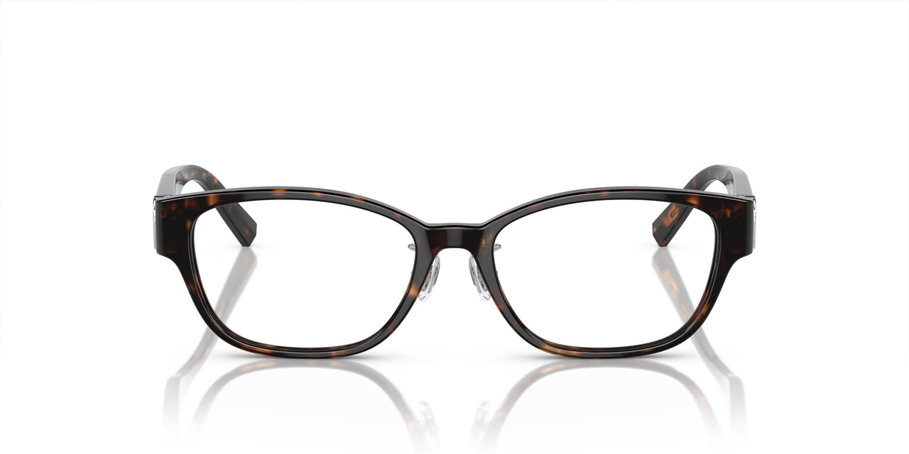 8015 - Tortoise