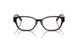 8015 - Tortoise