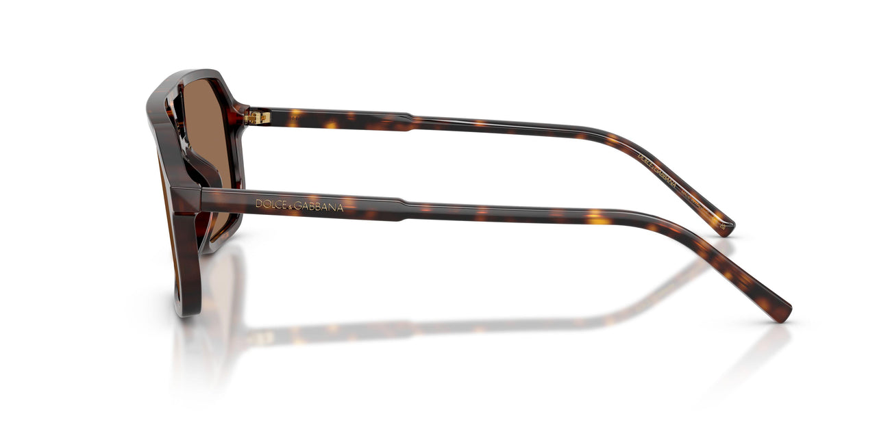 502/73 - Tortoise - Dark Brown
