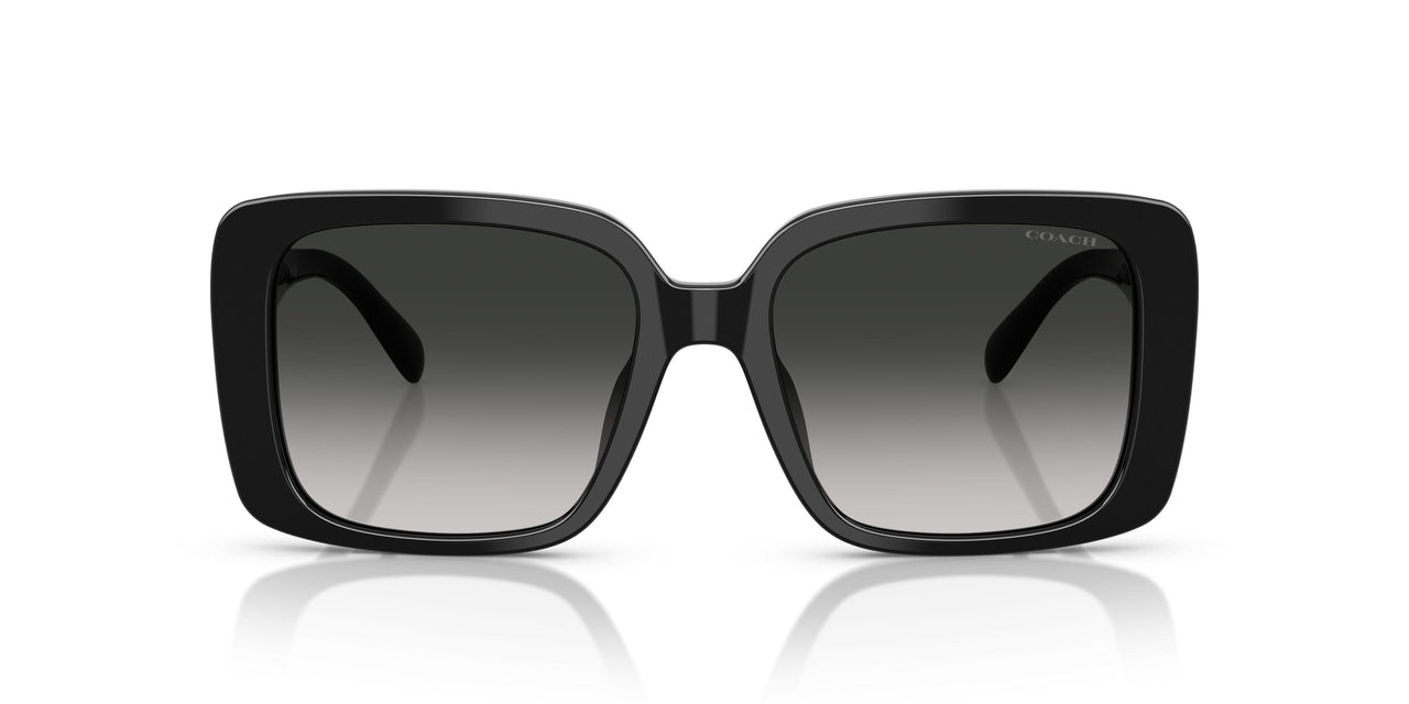 50023C - Black - Grey Gradient