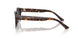 500287 - Tortoise - Dark Grey