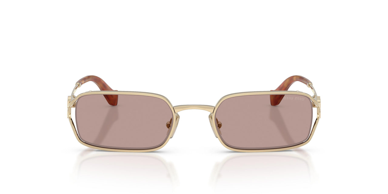 ZVN20I - Gold - Light Purple Brown