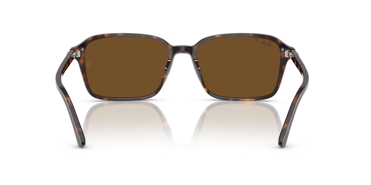 902/57 - Tortoise - B-15 Brown