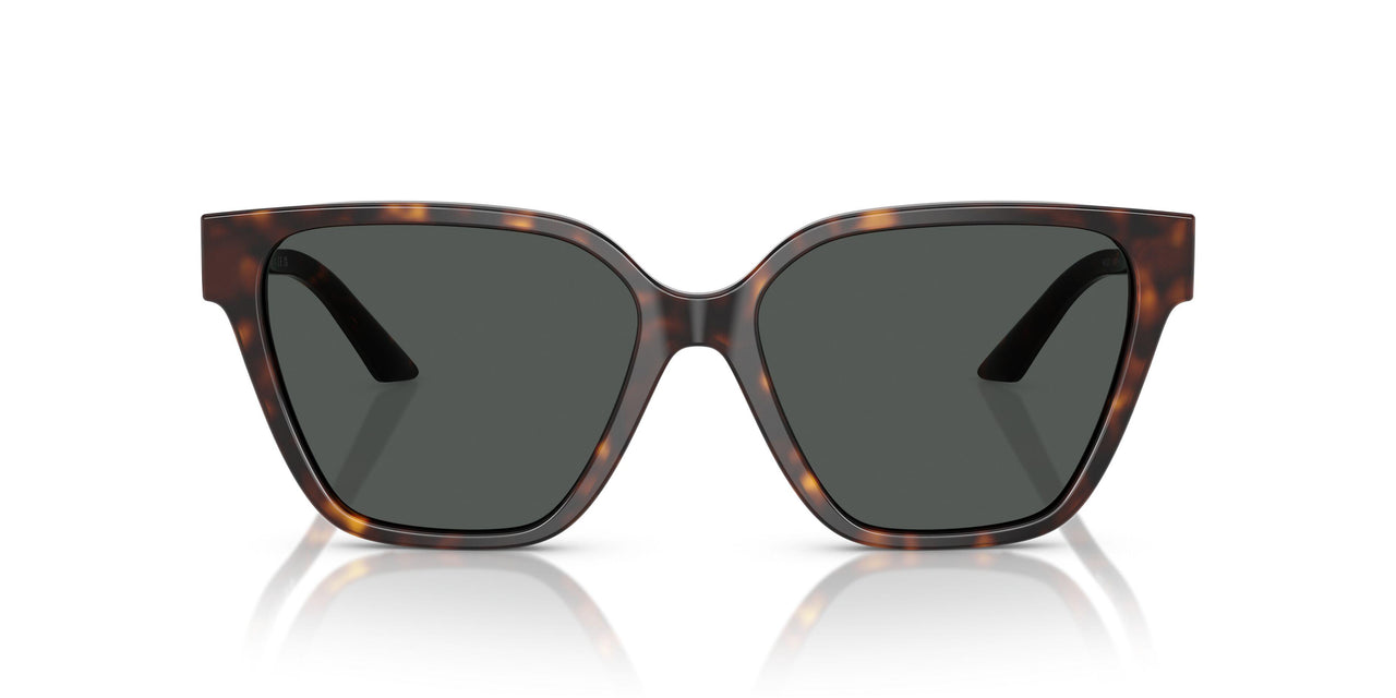108/87 - Tortoise - Dark Grey