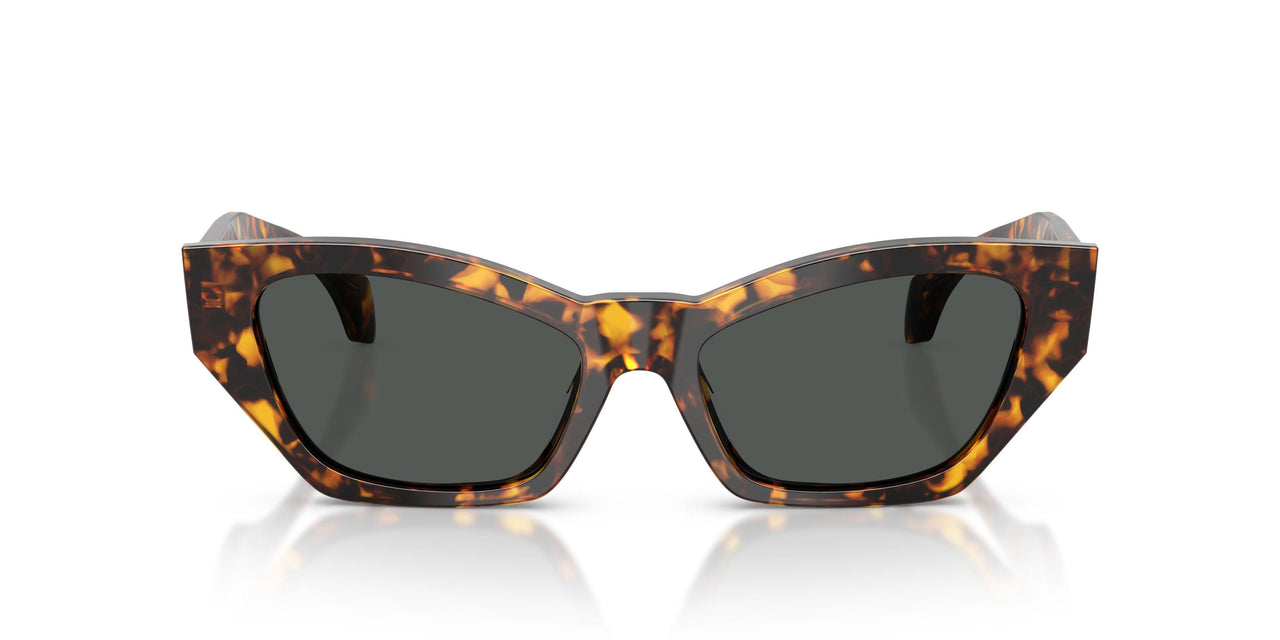 551487 - Tortoise - Dark Grey