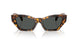 551487 - Tortoise - Dark Grey