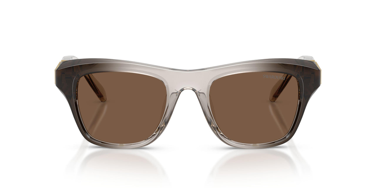 112373 - Brown - Dark Brown
