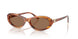 Swarovski 6069U Sunglasses