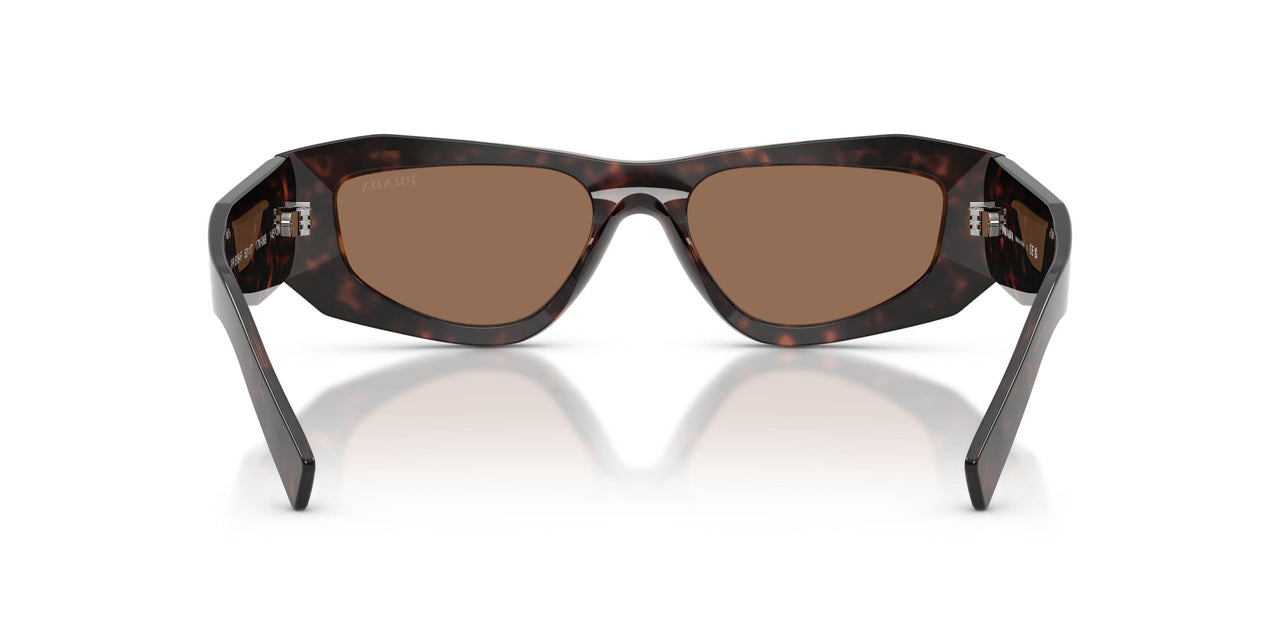 17N06B - Tortoise - Dark Brown