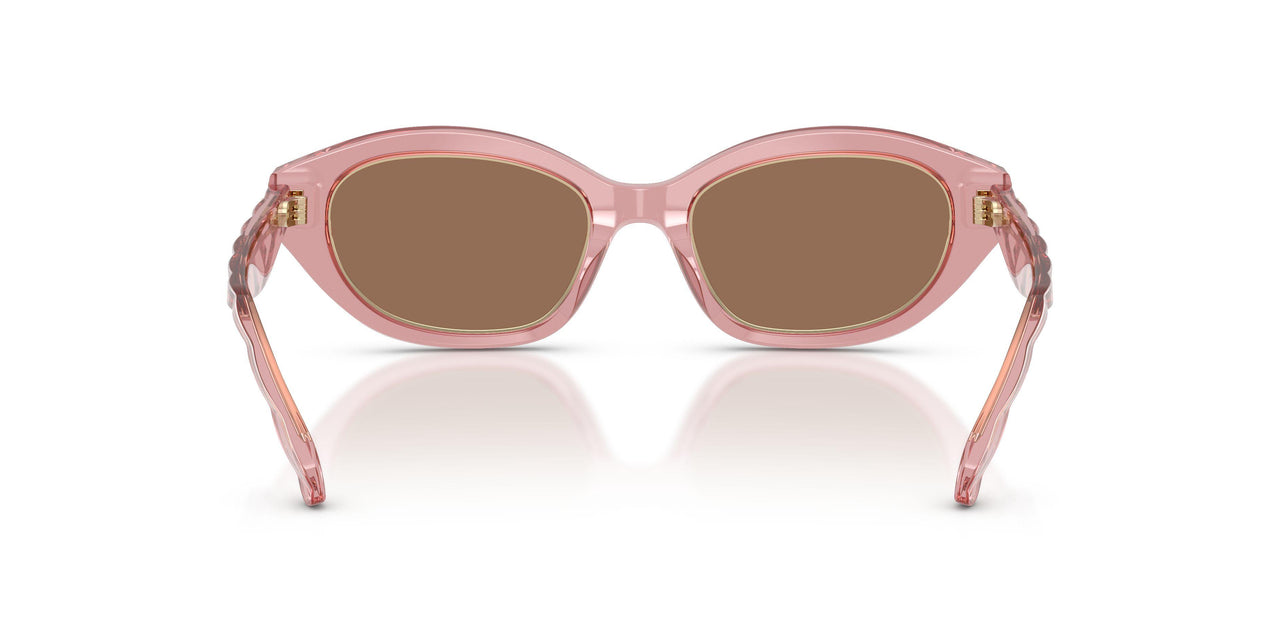 202173 - Pink - Dark Brown