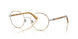 Polo 1248 Eyeglasses