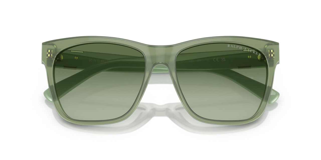 60498E - Green - Gradient Green