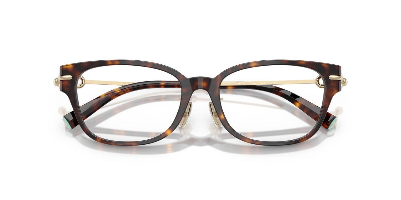 8015 - Tortoise