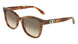 Salvatore Ferragamo SF2108S Sunglasses