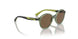 306773 - Transparent Dark Green - Dark Brown