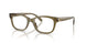 5072 - Green