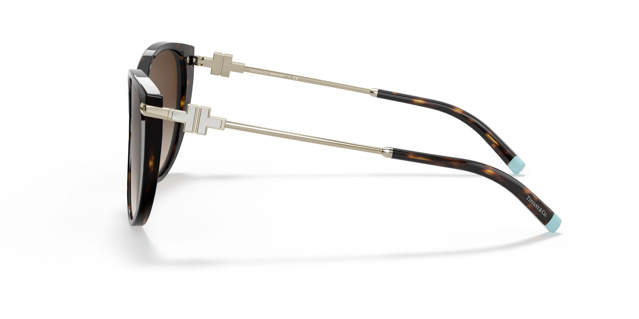 80153B - Havana - Brown Gradient