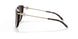 80153B - Havana - Brown Gradient