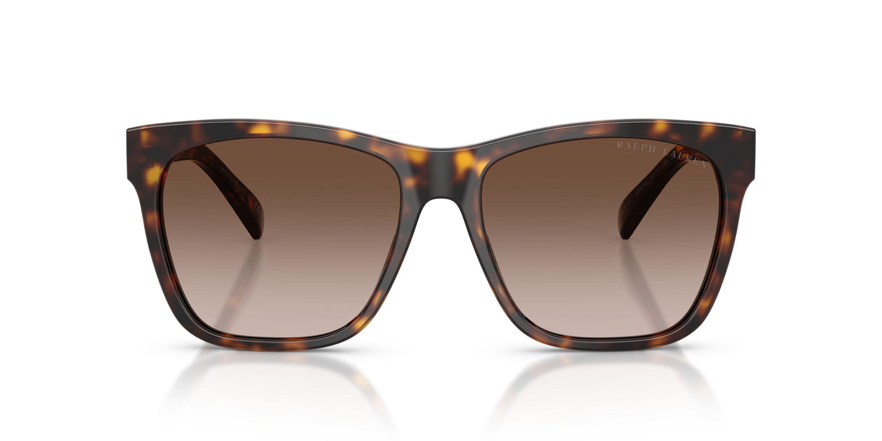 500313 - Tortoise - Gradient Brown