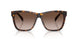 500313 - Tortoise - Gradient Brown