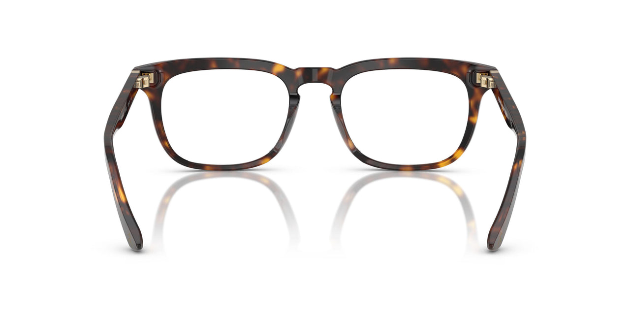 6161 - Tortoise