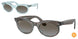 138596 - Light Blue - Blue Brown