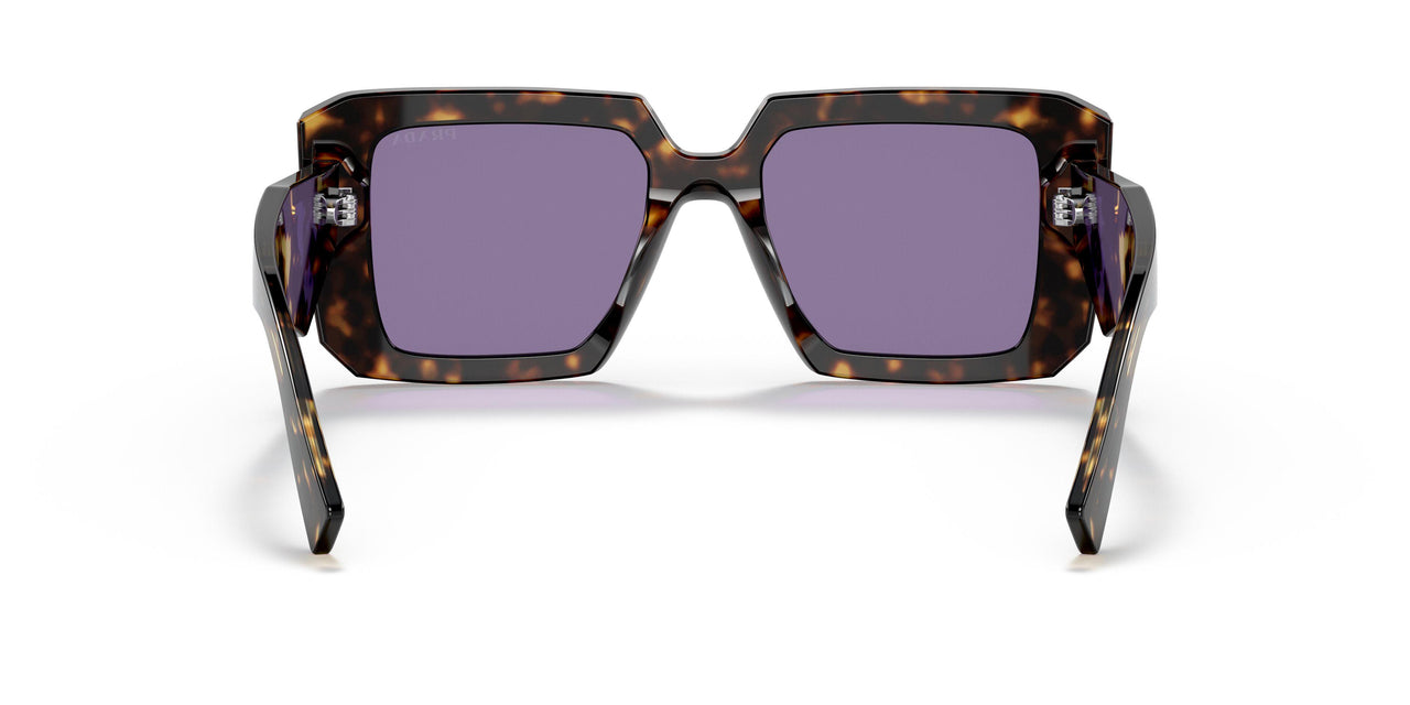 2AU05Q - Havana - Violet Mirror Internal Silver