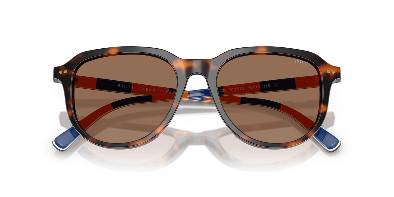 613773 - Tortoise - Dark Brown