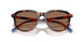 613773 - Tortoise - Dark Brown