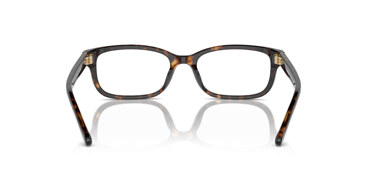 5120 - Tortoise