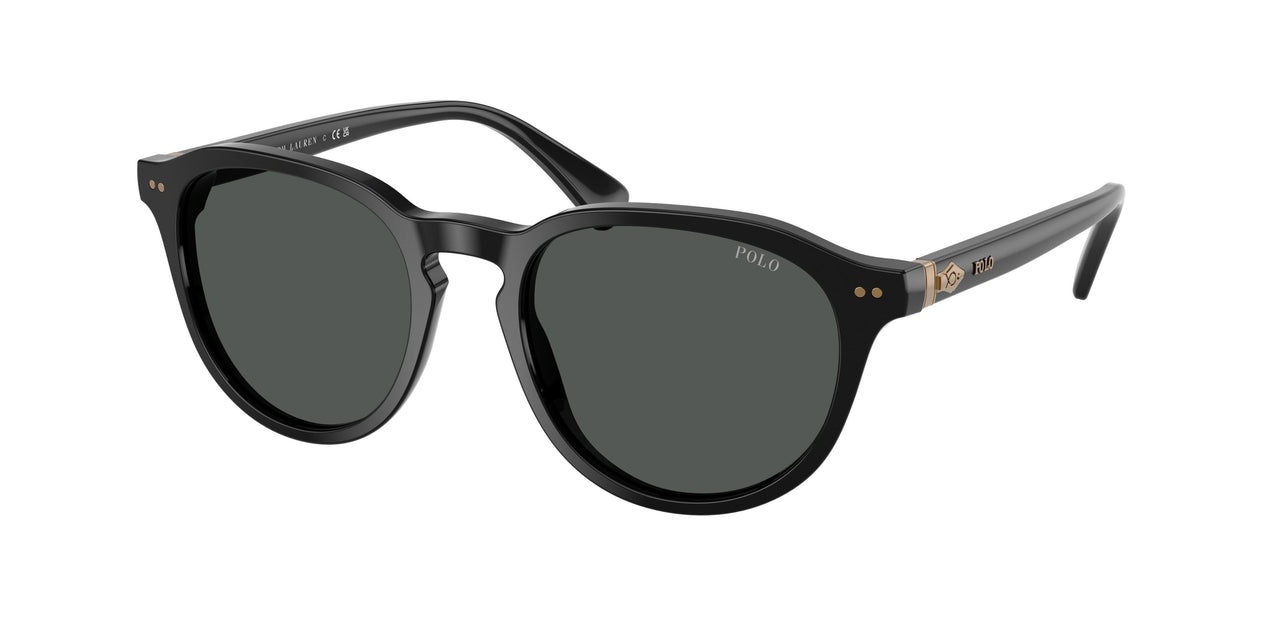 Polo 4221 Sunglasses