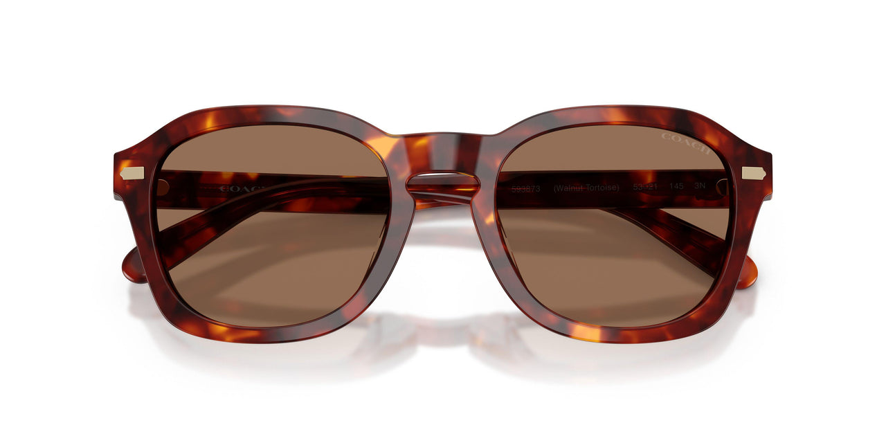 593873 - Tortoise - Brown Solid