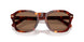 593873 - Tortoise - Brown Solid