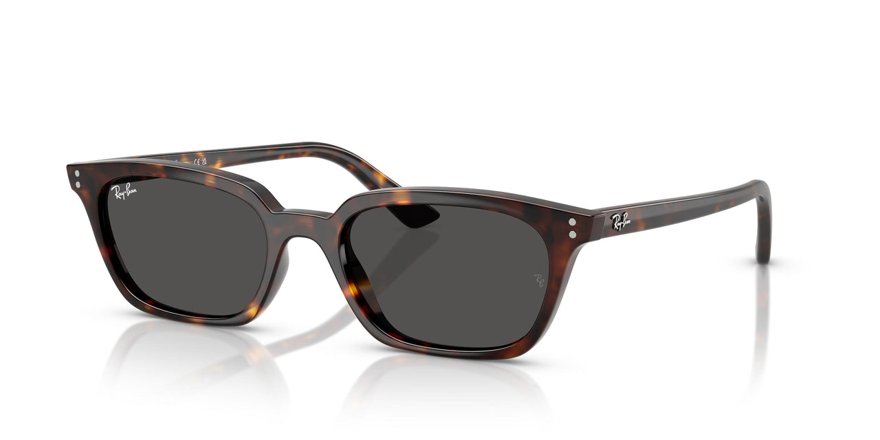 135987 - Tortoise - Dark Grey
