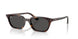 135987 - Tortoise - Dark Grey