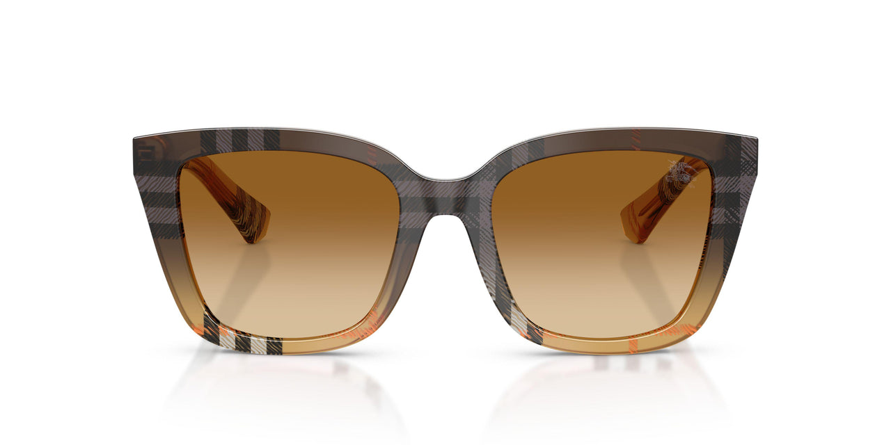420213 - Brown - Brown Gradient