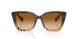 420213 - Brown - Brown Gradient