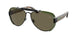 Polo 3129 Sunglasses